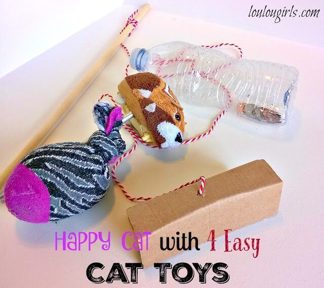 Happy Cat with 4 Easy Cat Toys Made With Things In Your Home