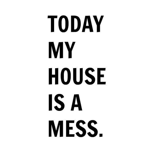 Today My House Is A Mess! 