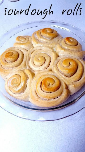 Sourdough Dinner Buns