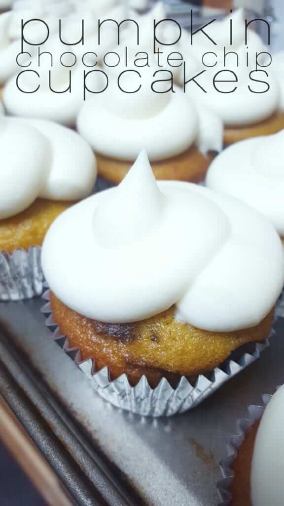 Pumpkin Chocolate Chip Cupcakes