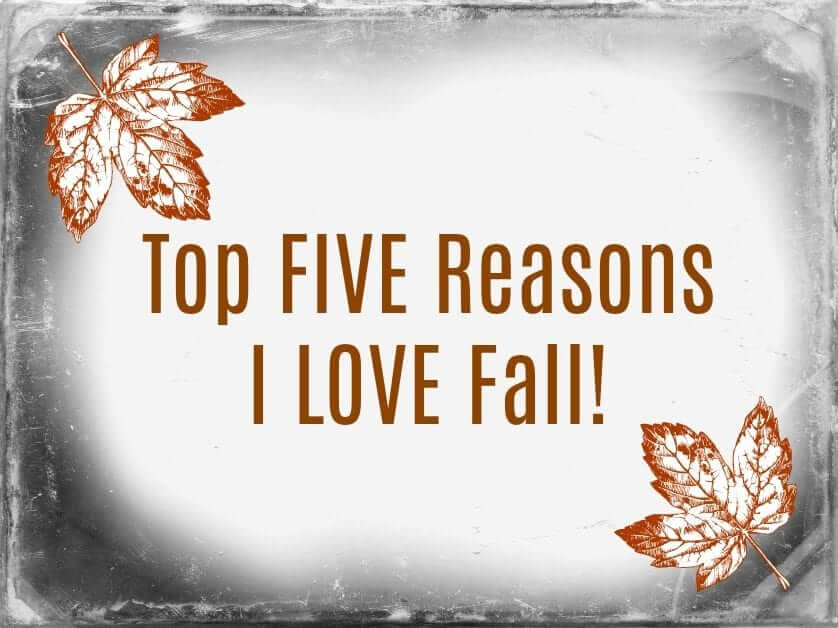 Top 5 Reasons I love Fall Time