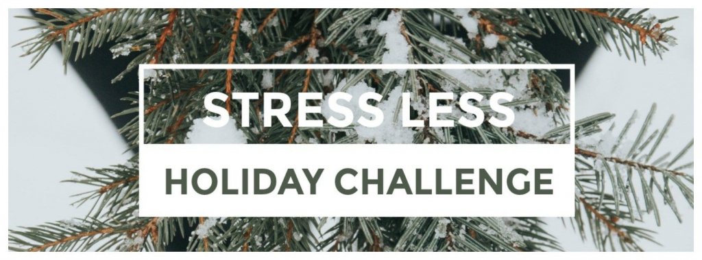 Stress Less Holiday Challenge Family