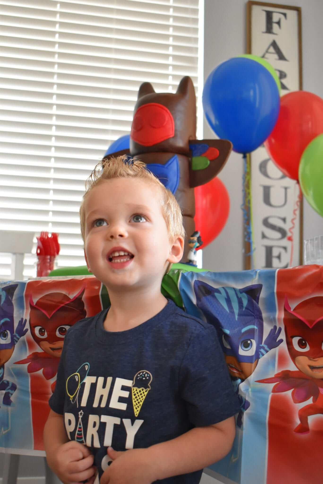 PJ Masks Birthday Ideas for a 3 Year Old Lou Lou Girls