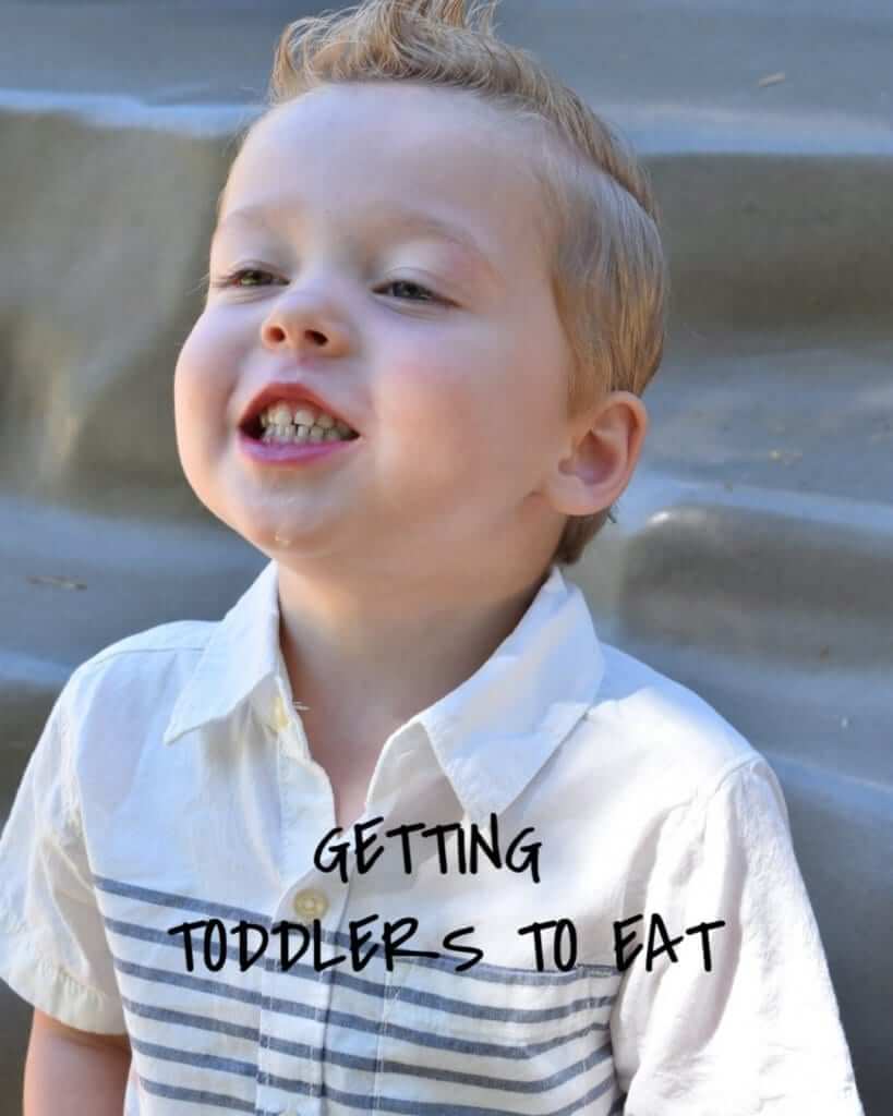 Getting a Toddler to Eat