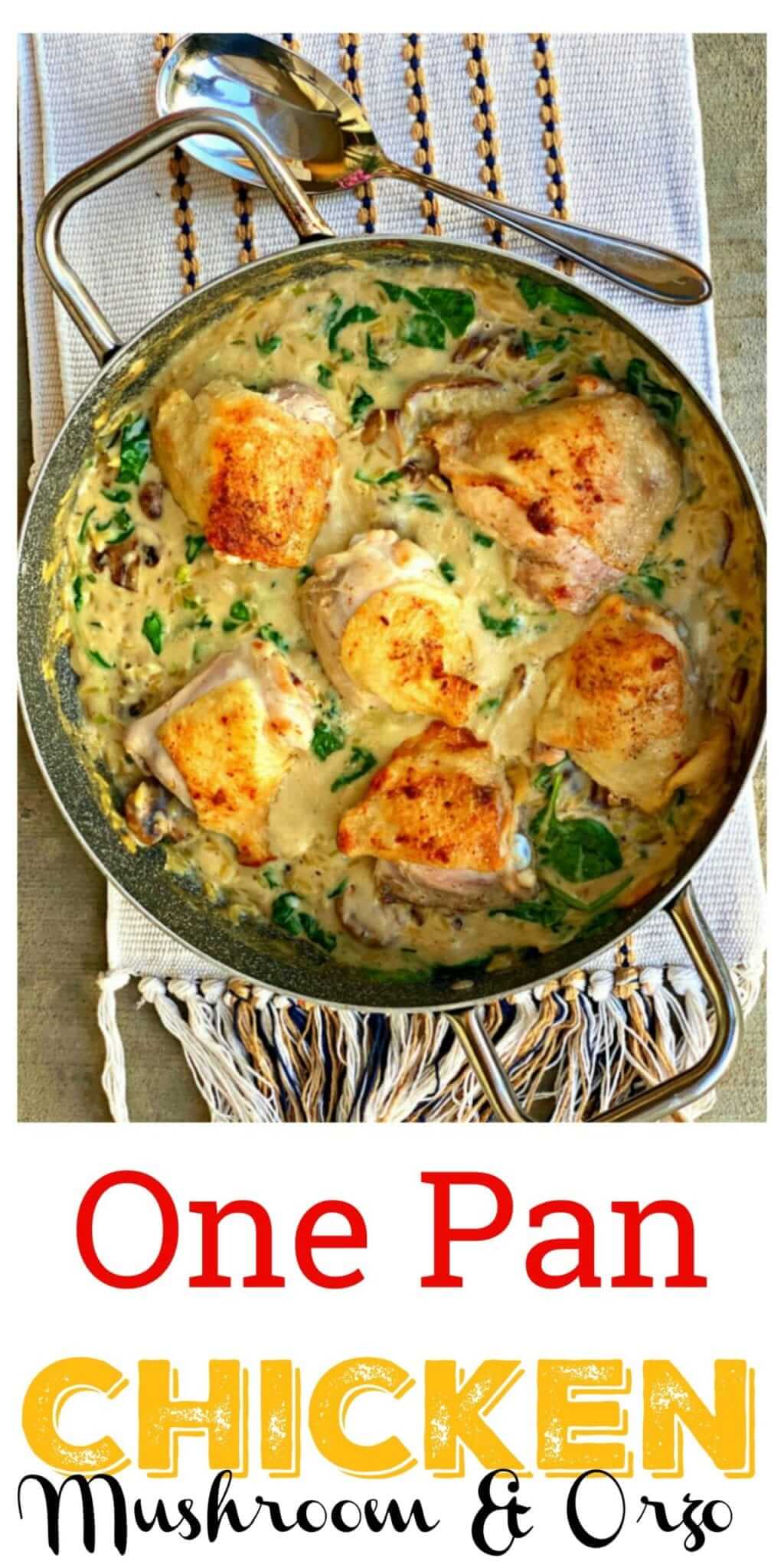 One Pan Chicken with Mushrooms and Orzo