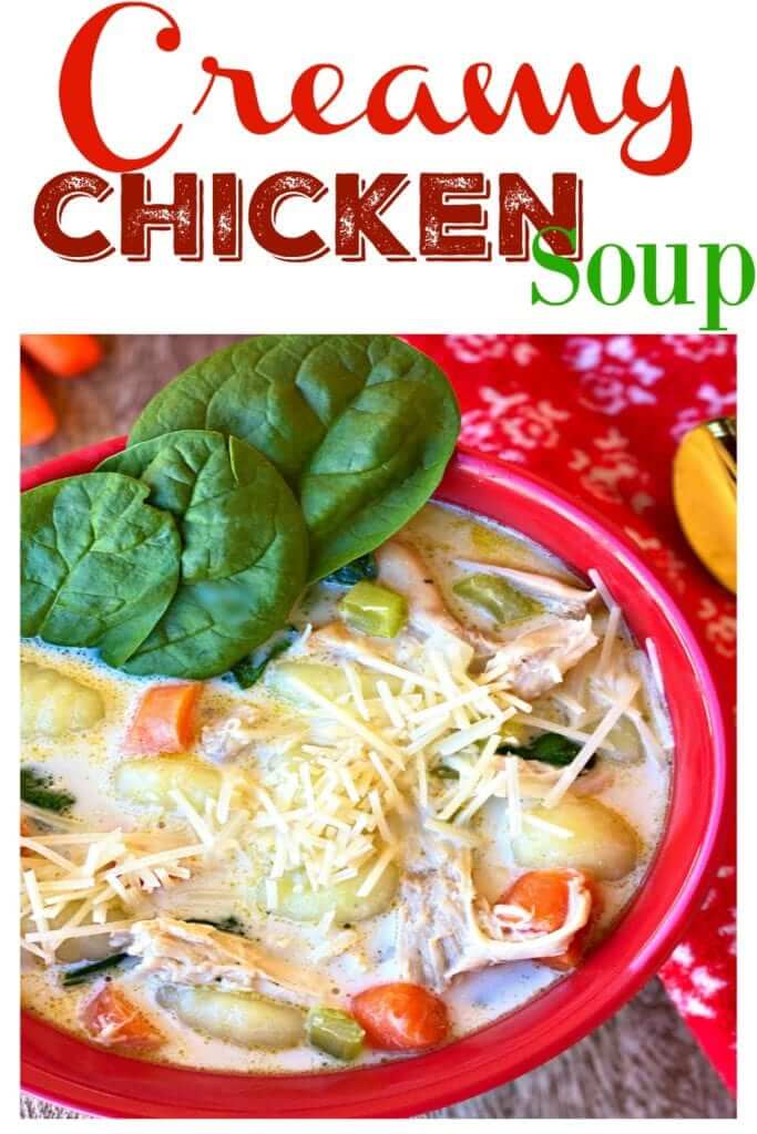 creamy chicken pasta soup