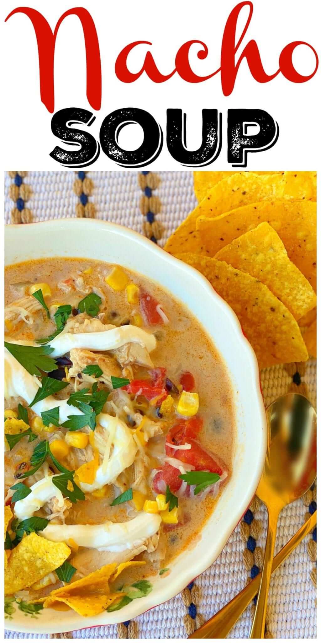 Delicious Nacho Soup