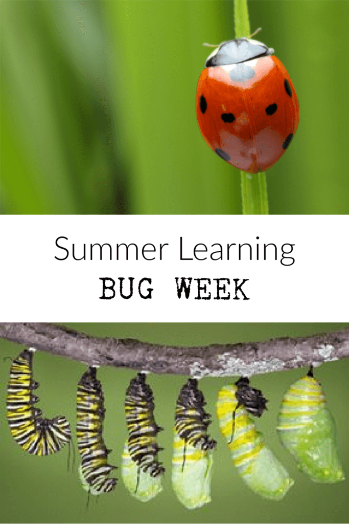 Summer Learning Bug Week