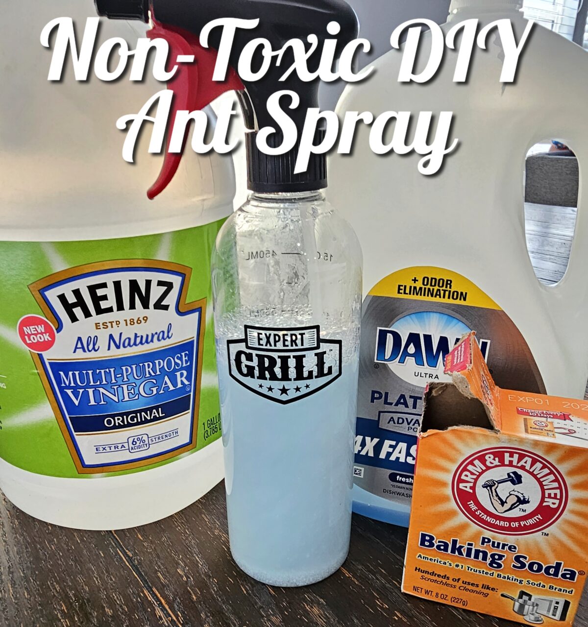 Non Toxic DIY Ant Spray - Lou Lou Girls