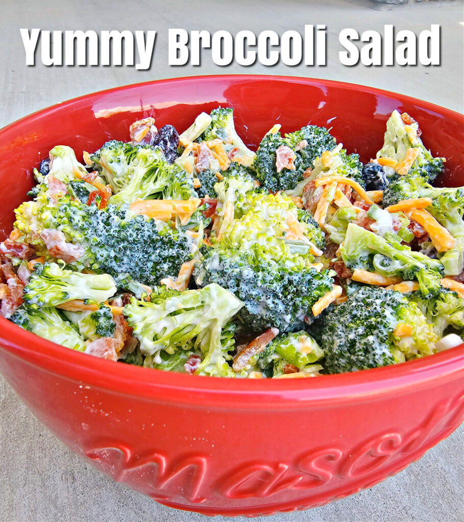 Yummy Broccoli Salad #broccoli #saladrecipe #sidedish #bbqsidedish #potluckdish #appetizers