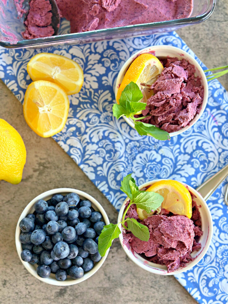 Frozen Blueberry Yogurt