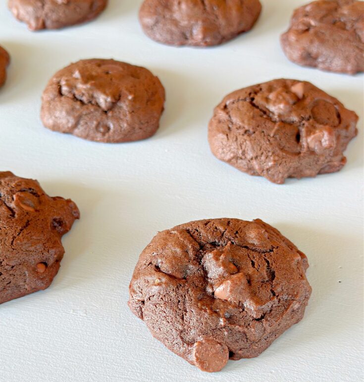 Chocolate Banana Cookies