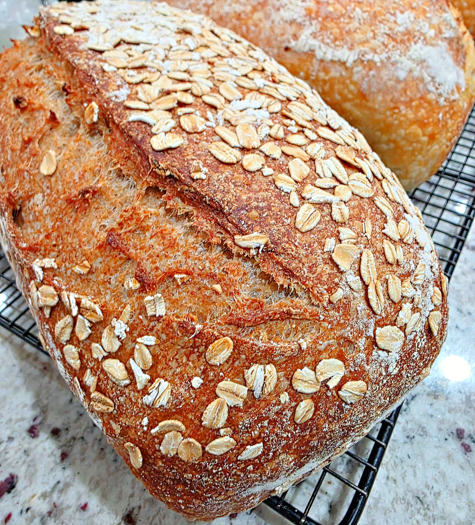 Honey Oat Wheat Sourdough Bread