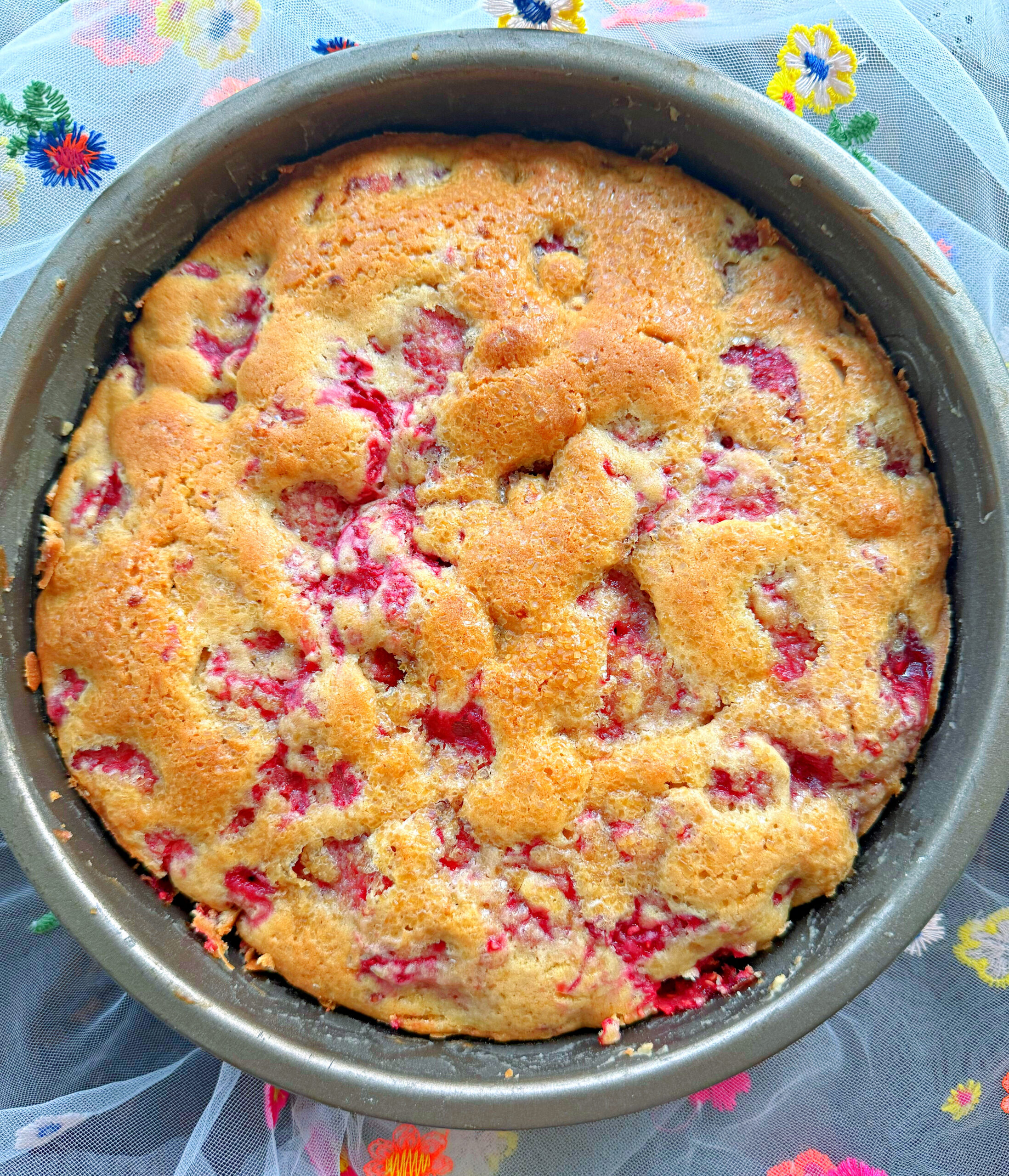 Fresh Raspberry Buckle